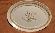Brookpark #1521 Turkey Serving Platter Wheat Thanksgiving 21" x 15" Melamine