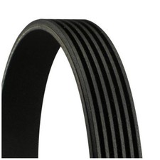 Continental Ctam Keilrippenriemen PE0815909B Y65015909A PE0815909C 24665496