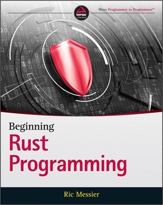 Beginning Rust Programming (Paperback or Softback)