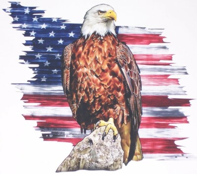 Ripped American Flag Eagle Rock decal Camper RV Gof Cart Sticker decals Cornhole