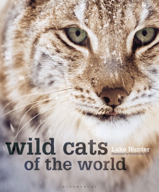 Wild Cats of the World by Luke Hunter (Hardback Book)