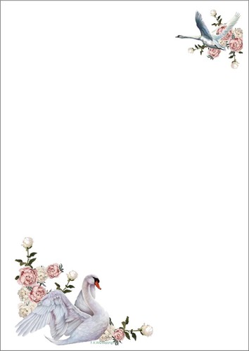 Swan "The Swan" A5 Letter writing paper with or without C6 matching envelopes - Picture 10 of 13