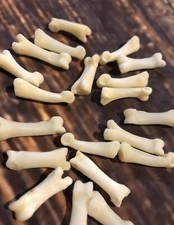 20 Real Coyote TOES BONE MOUNTAIN MAN CRAFT S...