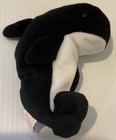 Foto 3 di 6
