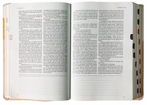 Holman CSB (In) Courage Bible; 2020 Mustard/Alabaster Leather Soft 9 Font Index - Imagen 7 de 8