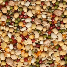 Tidymix Pulse & Rice Soaking & Sprouting Healthy Parrot Food for Pet Birds