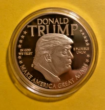 Donald Trump President MAGA Gold USA Plastic Case Fantasy COIN Token #872