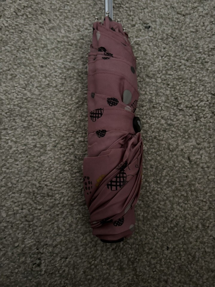 Radley Umbrella eBay