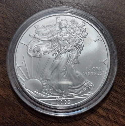 2009 WALKING LIBERTY AMERICAN EAGLE .999 FINE SILVER DOLLAR COIN 1oz. $1 USA