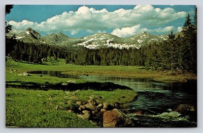 Big Sandy River Bridger Wilderness Wyoming Scenic Mountains Postcard
