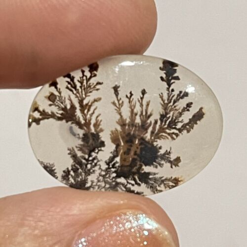 23.5x17.5c4mm Fine Dendritic Agate Oval Crystal Doublet Cabochon Picture Stone