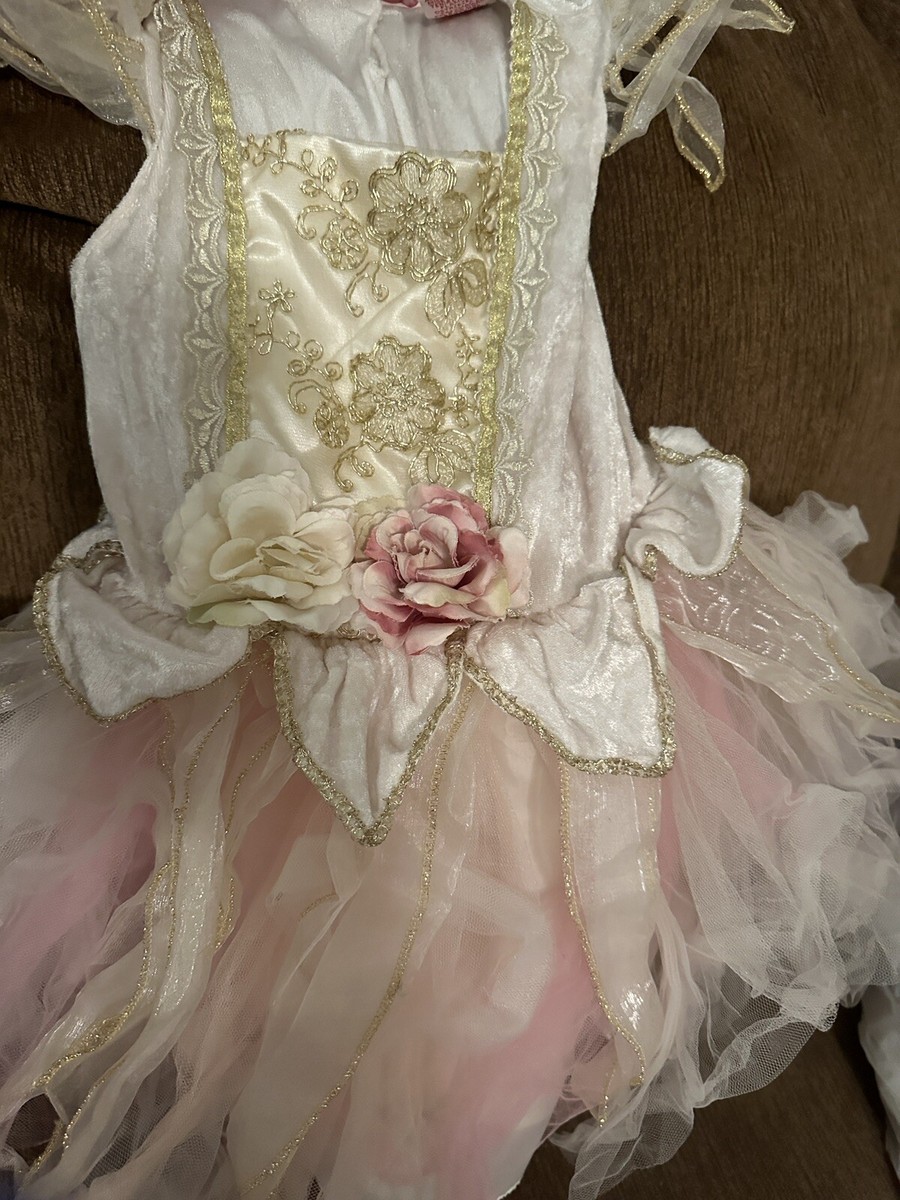 sachin and babi light blue dress Pastel Fairy Costume main image 1