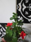 Bild 2 von 7