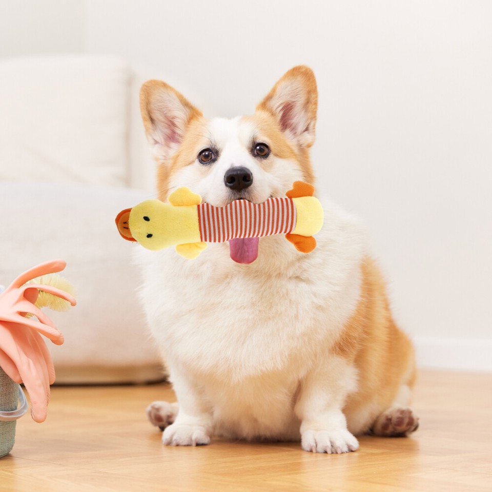 Plush Pet Dog Sound Toys Squeakers Squeaky Toy for Small Dog Puppy Chew