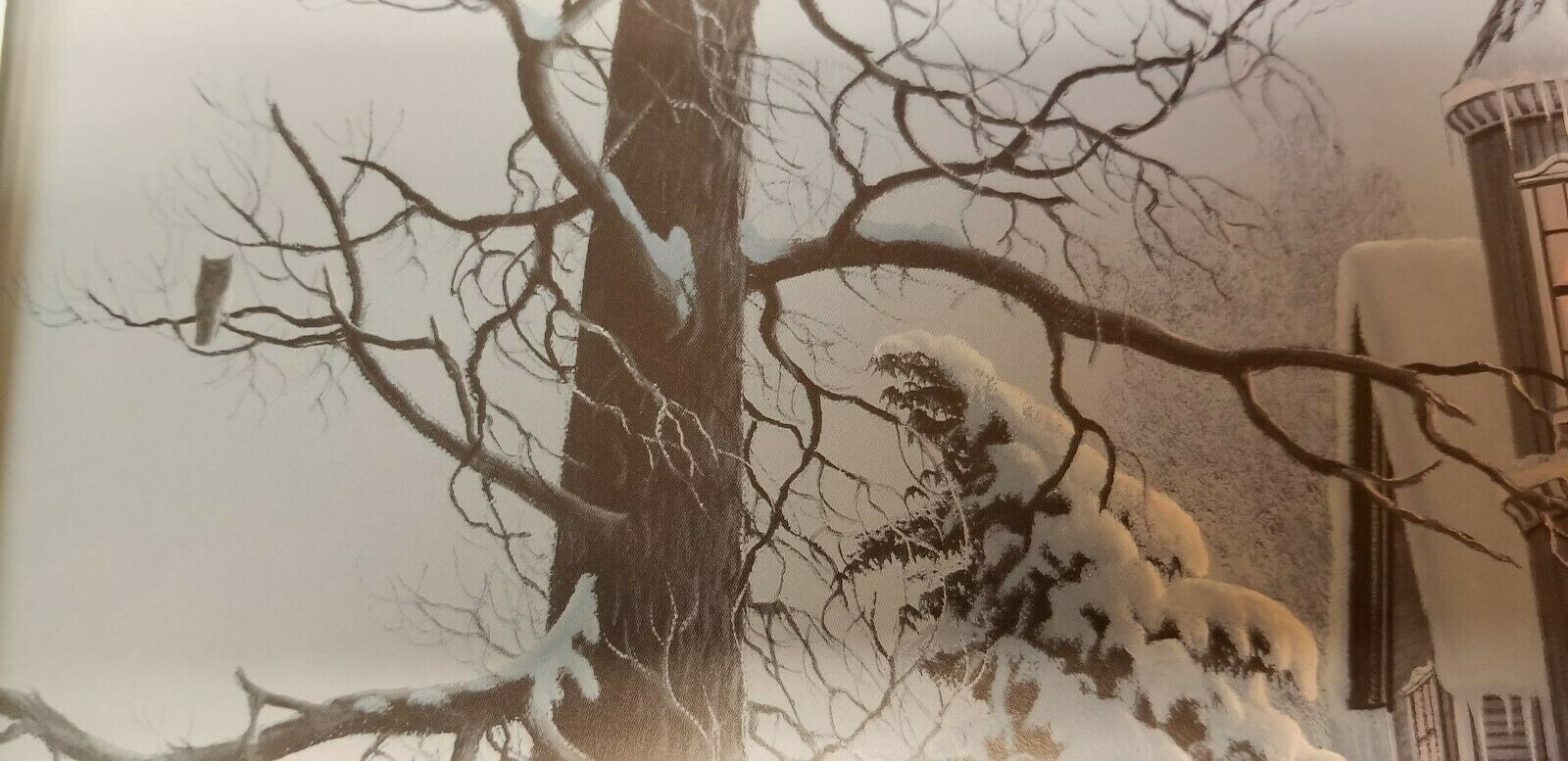 Picture 7 of 12