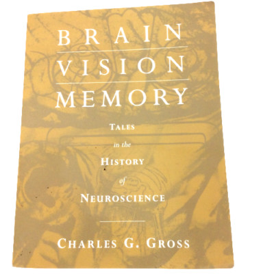 Brain Vision Memory Tales in the History of Neuroscience Gross