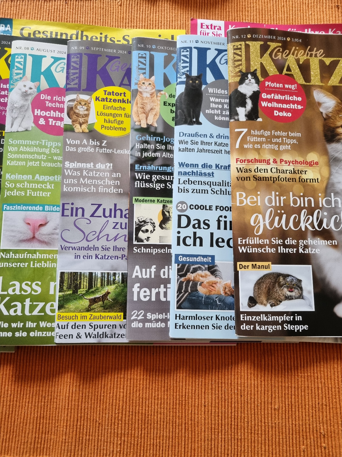 Bild 2 von 3