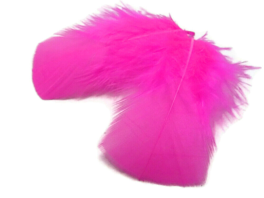 Picture 3 of 12
