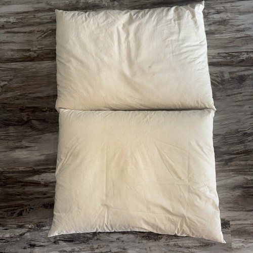 Set Of 2 Vintage Off White Down Feather Pillow 25X18 Inch Good Fill Stain Areas