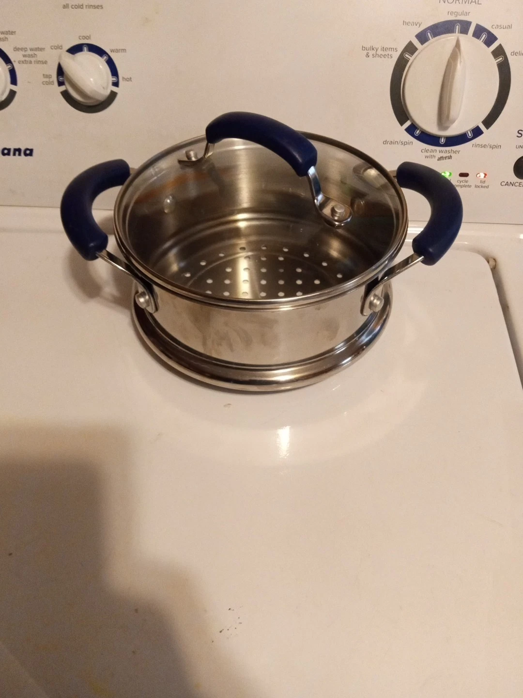 Stainless Steel Steamer With Lid