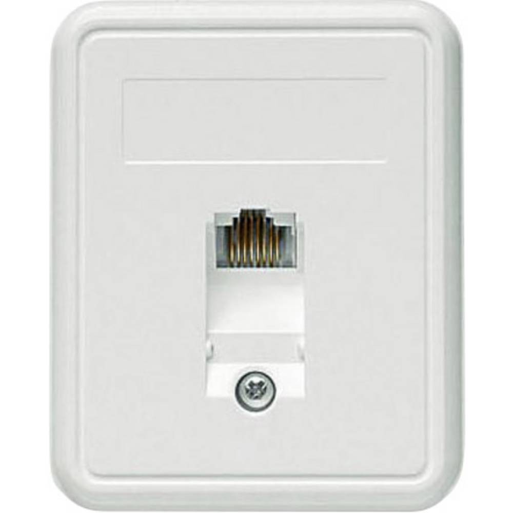 Boîtier réseau CAT 5e Telegärtner 1 port avec connecteur blindé et boîtier robuste