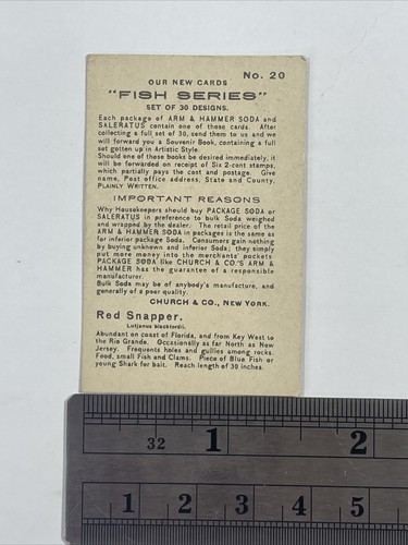 Arm & Hammer Church & Co. Fish Series Small Size #20 Red Snapper Trade Card - Picture 2 of 2