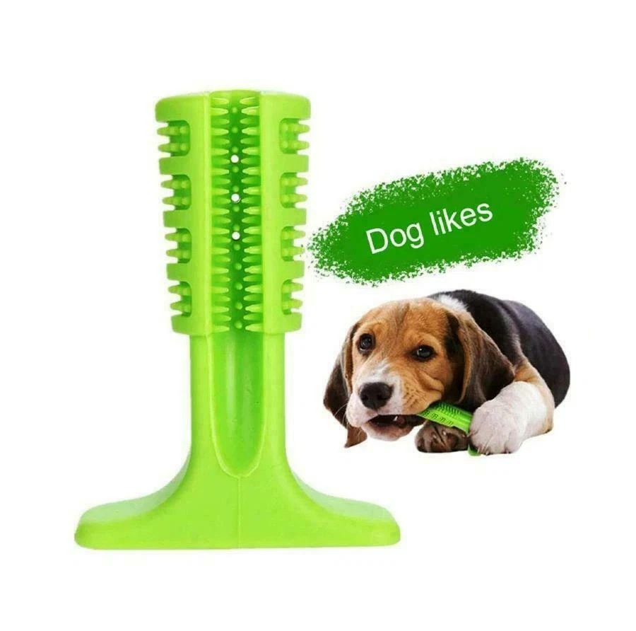 Green dog toothbrush toy top