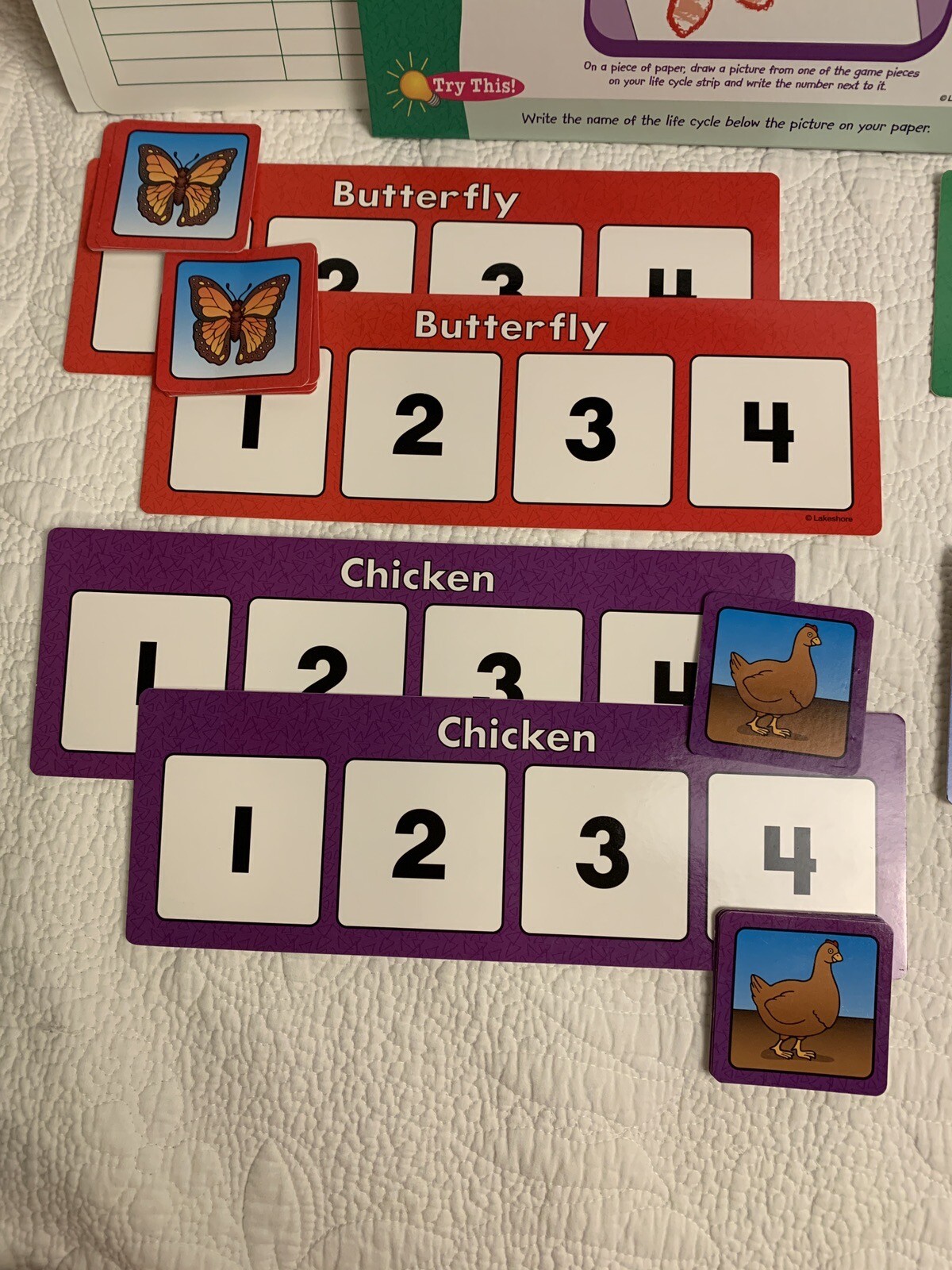 Lakeshore Learning Science Instant Learning Center Life Cycles (Two