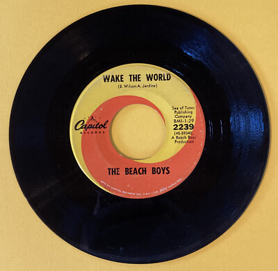 45 rpm Vinyl THE BEACH BOYS Do It Again & Wake The World 1968