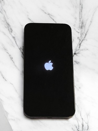 Apple iPhone 15 Pro Max (Unlocked) 256GB - Black - 6.7in *93% Battery Capacity* - Picture 12 of 16