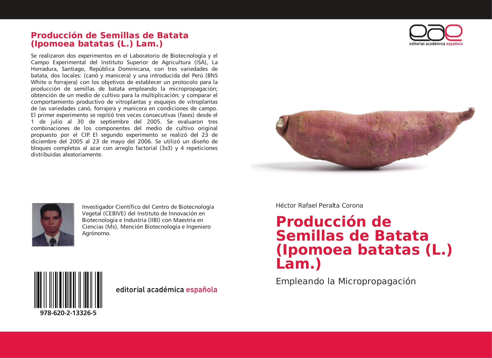 Producción De Semillas De Batata (ipomoea Batatas (l.) Lam.) | Corona