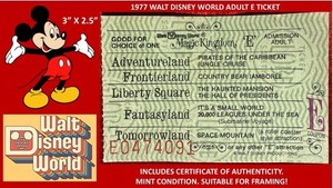 アンティーク　30年前　Walt Disney World プレート　2枚セット il_fullxfull.6275342490_6gxv.jpg