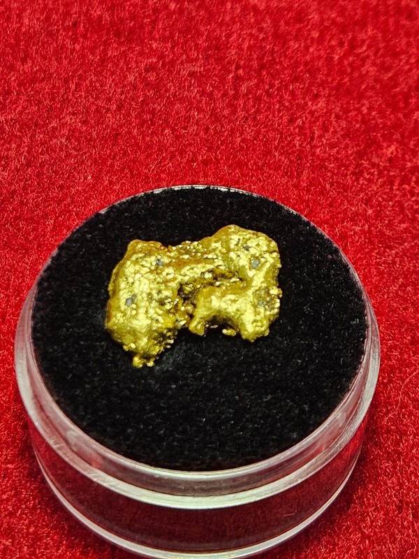 California Natural Gold Nugget  5.1  Grams in a Gem jar w/lid