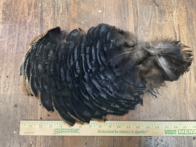 Wild Turkey Body Feathers, art craft fishing fly tying