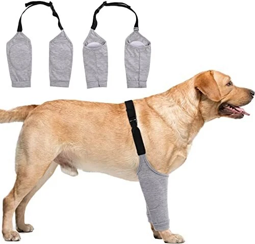 Dog recovery 2025 suit with legs