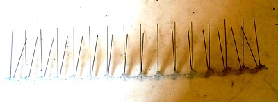 SS Bird Spikes Bird Deterent 24''L 3''W BIRD B GONE SAILBOAT, TIE POLE