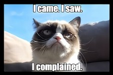 I Came I Saw I Complained Grumpy Cat Never Happy Push A Smile Out MAGNET