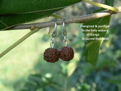 Rudraksha silver earrings, Energized healing seed. Vedic Hindu jewelry. HANDMADE