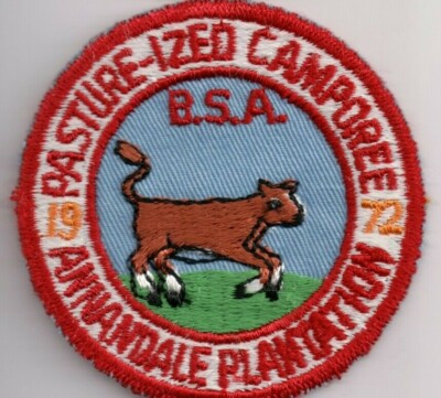 Annandale Plantation, Mississippi, 1972 Pasture-ized Camporee Patch