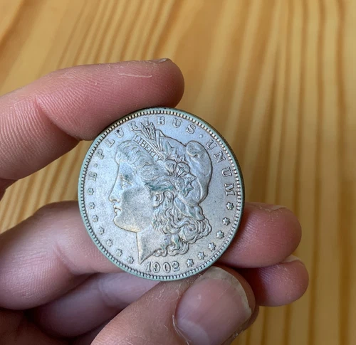 1902 $1 Morgan Silver Dollar - no mark (Philadelphia mint)