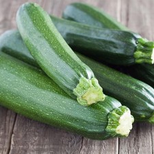 PREMIER SEEDS DIRECT  COURGETTE  Ambassador F125 Finest Seeds