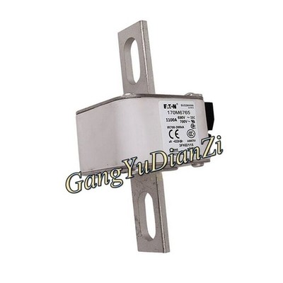 1pc NEW FOR  Fuse 170M6765 1100A 690V #jd