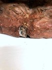 Foto 13 di 13