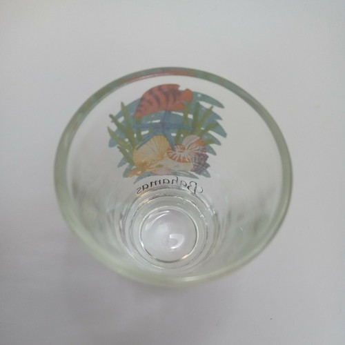 Bahamas Ocean Scene Sea Shells Shot Glass Barware - Picture 3 of 4