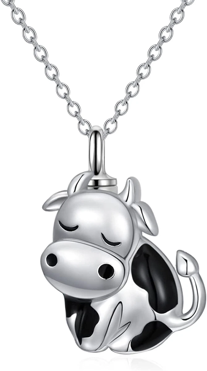 Cheap cremation hotsell jewelry for ashes