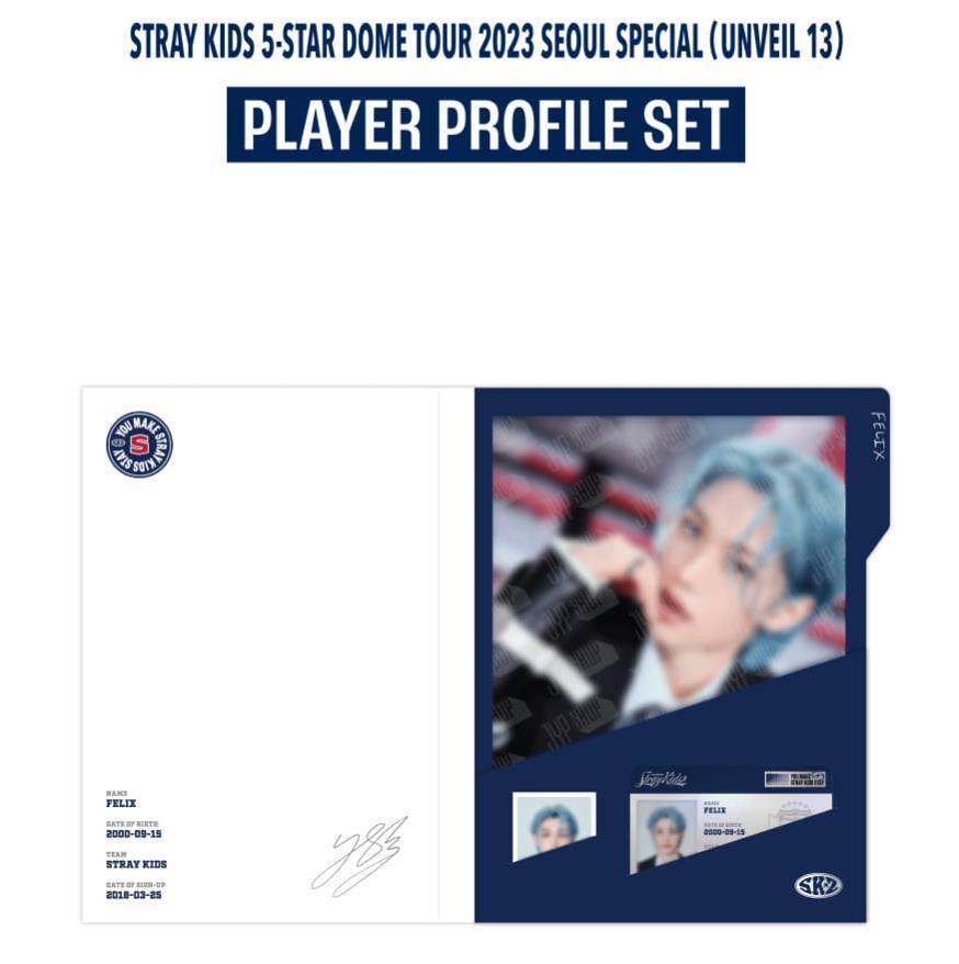 STRAY KIDS 5-STAR Seoul Special OFFICIAL MD GOODS PLAYER PROFILE