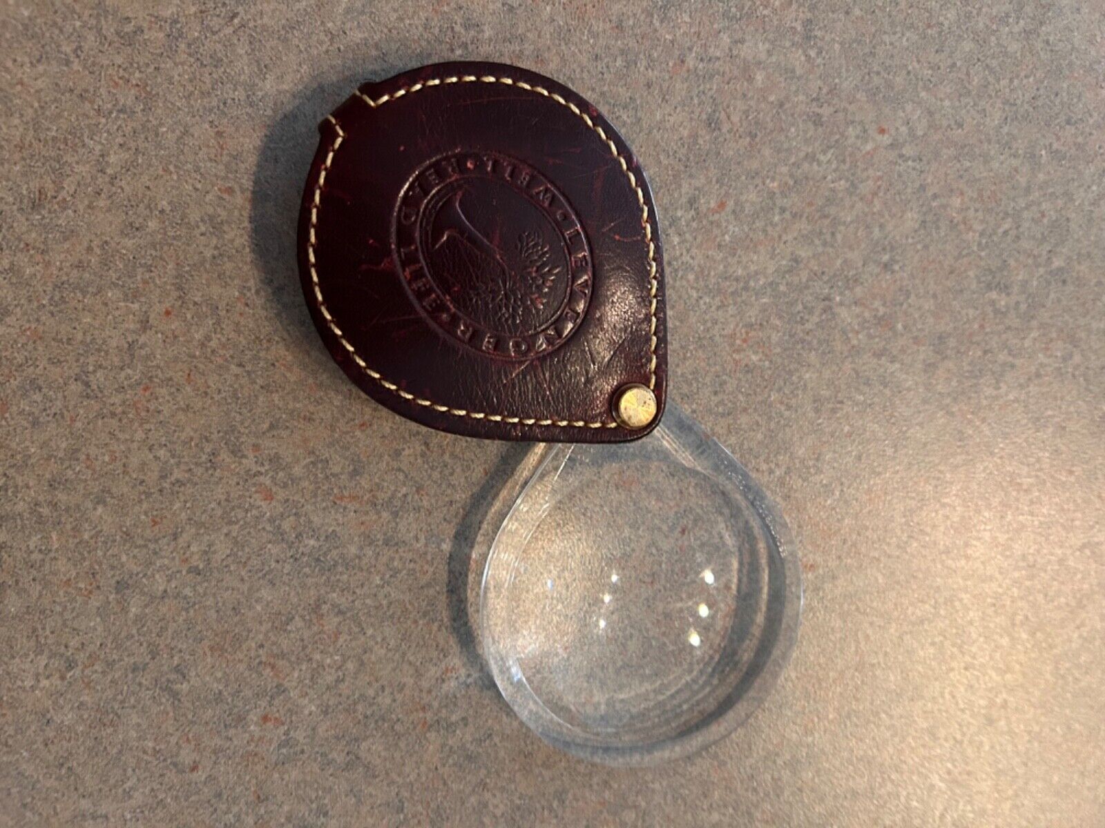 Picture 5 of 5