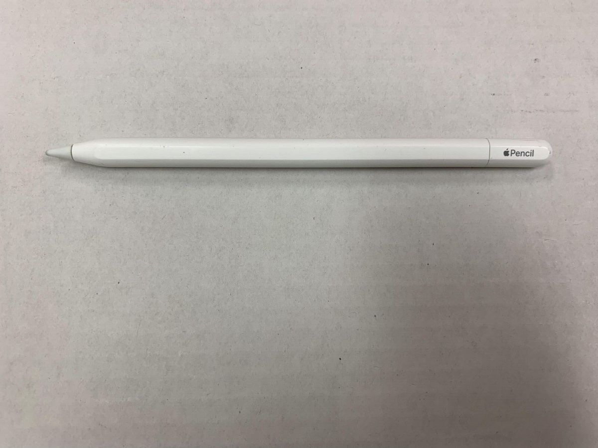 Genuine Apple Pencil (USB-C) - White 195949133695 | eBay UK