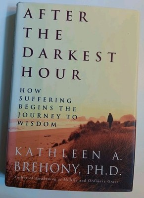 After the Darkest Hour by Kathleen A Brehony HARDBACK 2000