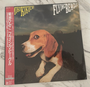 Flying Beagle | eBay